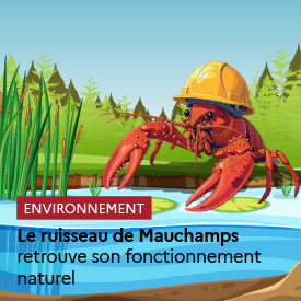 Le ruisseau de Mauchamps retrouve son fonctionnement naturel