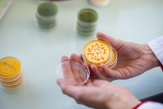 Le laboratoire d'analyse des eaux de Pays de Montbéliard Agglomération